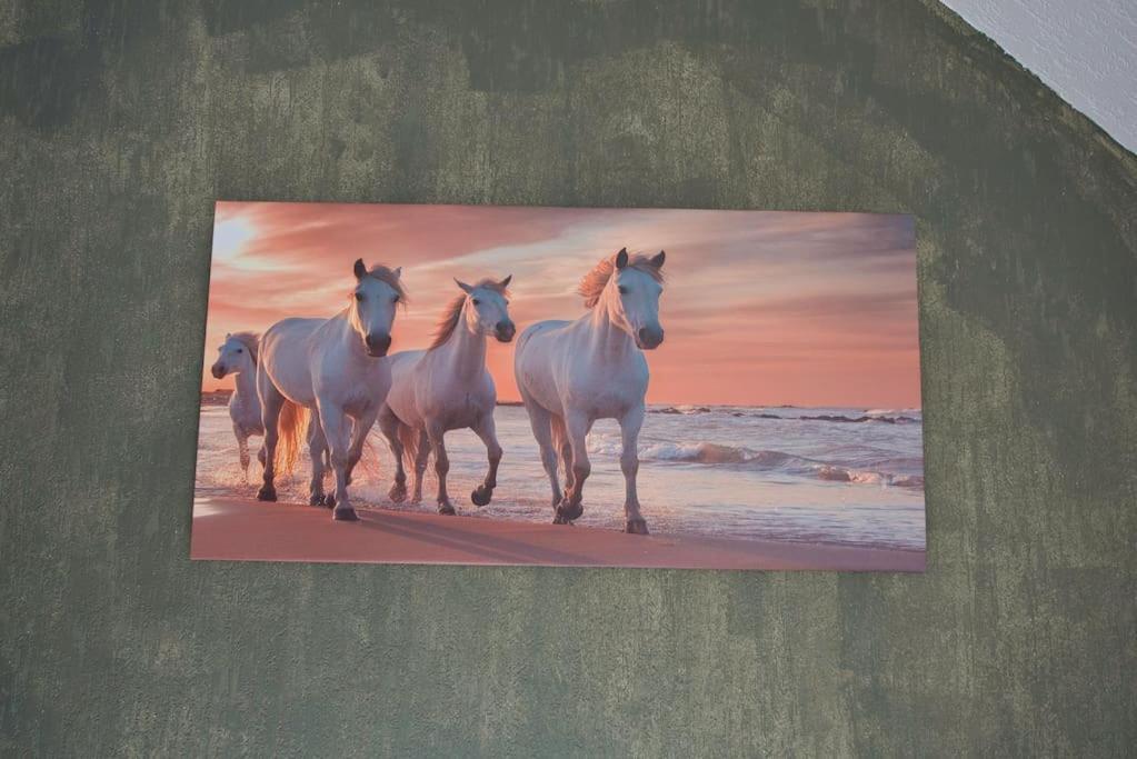 Le Fer A Cheval 4 Pers. Confort Plage 울가트 외부 사진